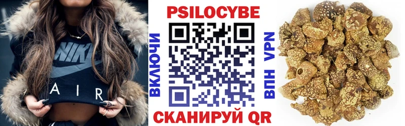 Псилоцибиновые грибы Psilocybine cubensis Иннополис