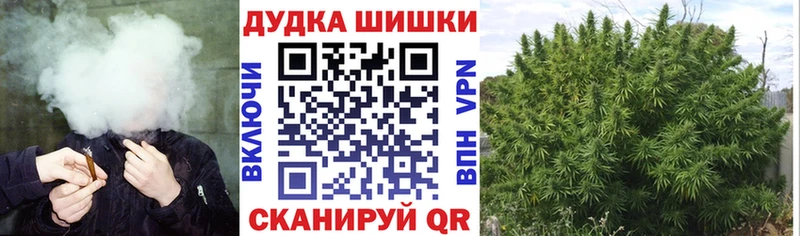 Конопля OG Kush Иннополис